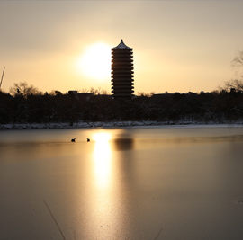 American journal of sociology