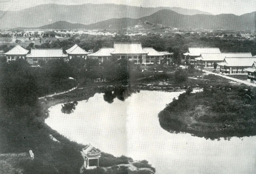 image5.jpeg