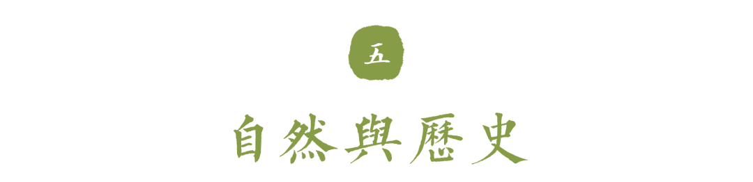 Word图片